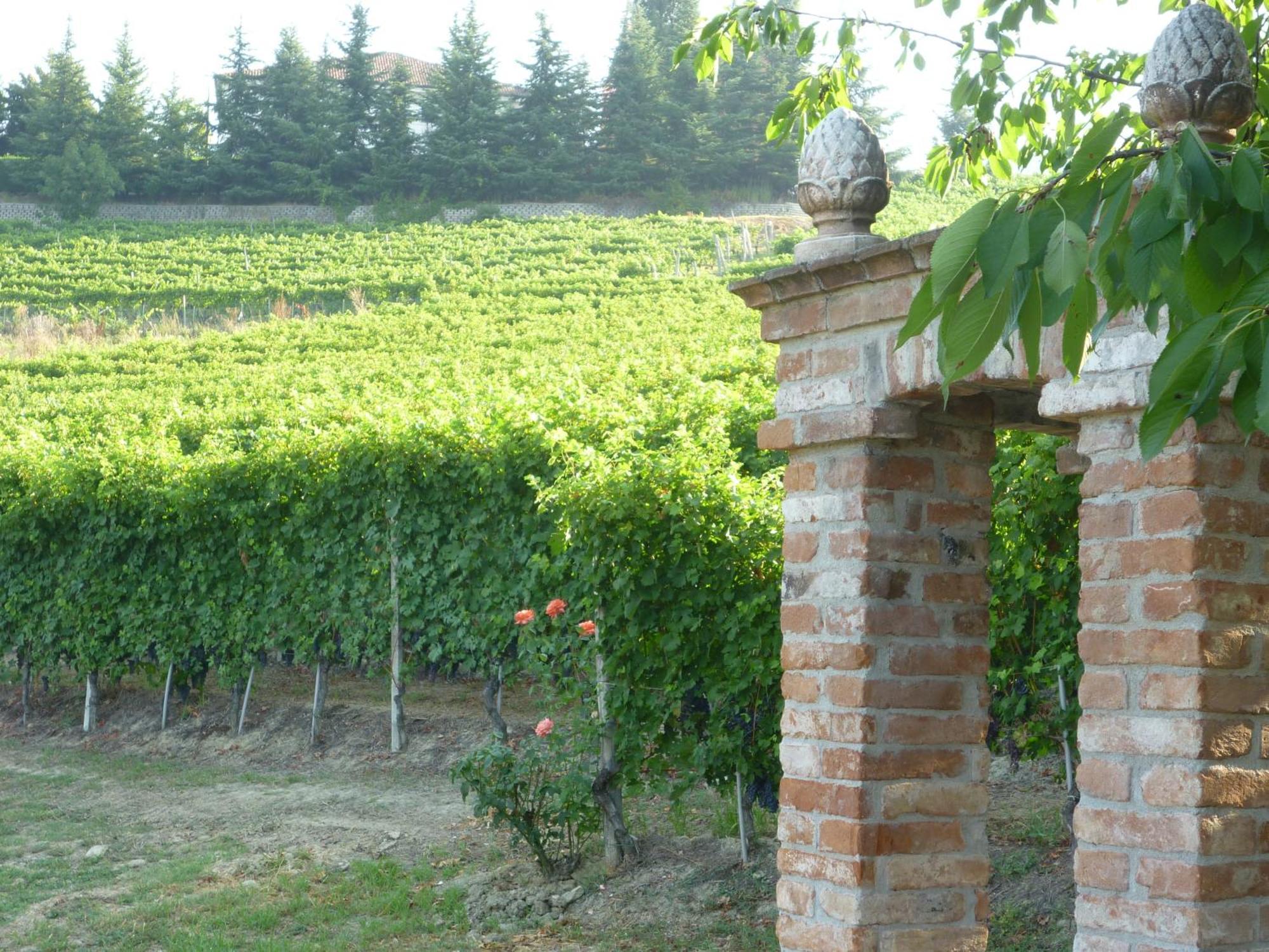 Villa La Favorita Alba  Luaran gambar